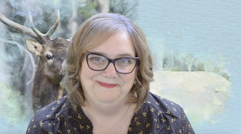 Article interview feature