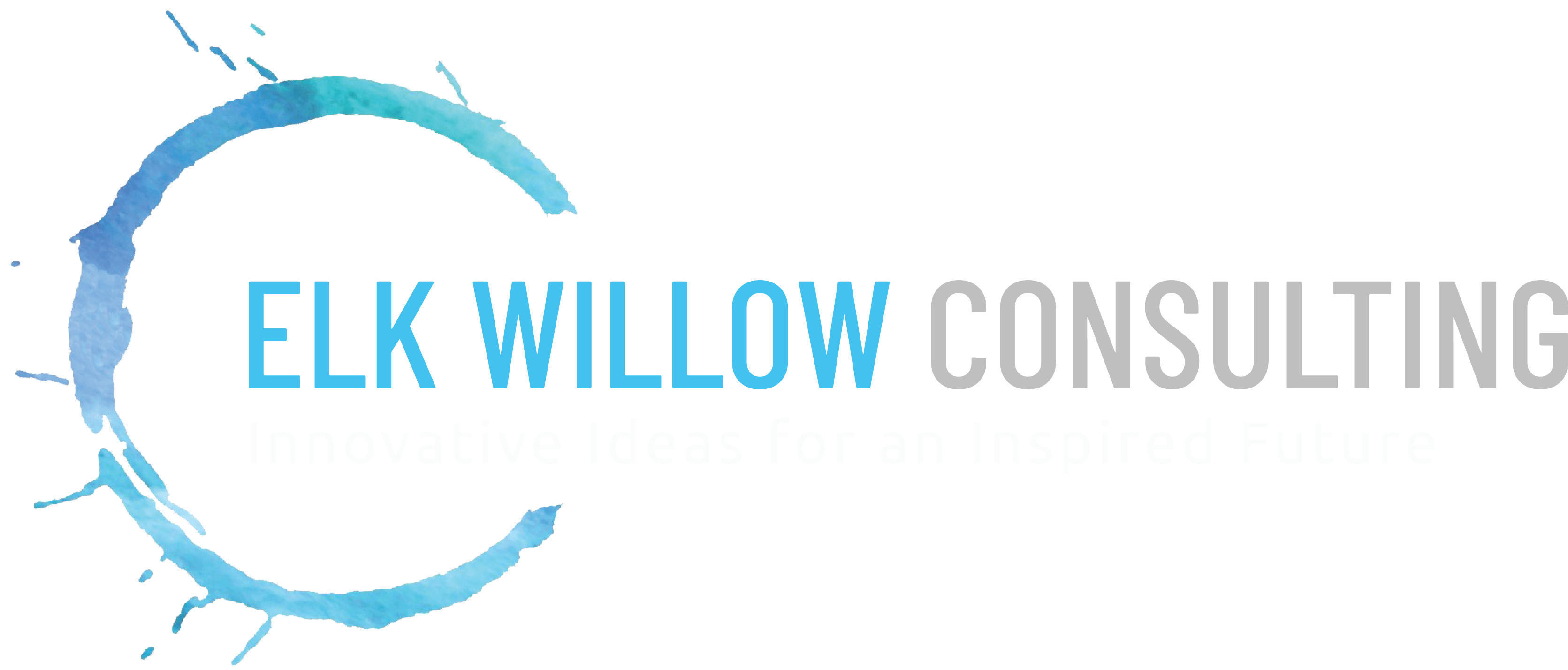 Elk Willow Consulting — Innovative Ideas for an Inspired Future